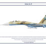 Su-27 Uzbekistan 3