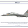 Su-30 India 1