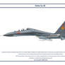 Su-30 Kazakhstan 1