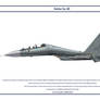 Su-30 Malaysia 1