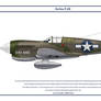 P-40E USA 344th FS 1