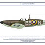 Spitfire GB 41 Squadron 1