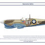 Spitfire Mk V USAAF 5th FS