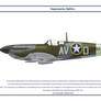 Spitfire Mk V USAAF 335th FS