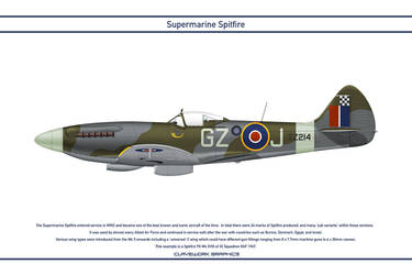 Spitfire GB 32 Squadron 3