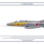 F-100 Turkey 1