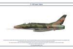 F-100 Turkey 2