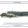 Beaufighter Turkey 2