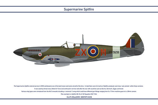Spitfire GB 145 Squadron 3