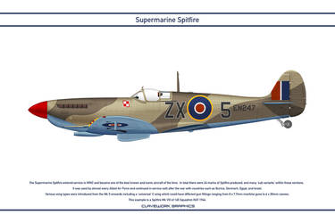 Spitfire GB 145 Squadron 4