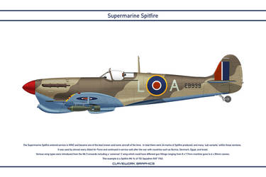Spitfire GB 152 Squadron 3