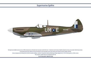 Spitfire GB 152 Squadron 4
