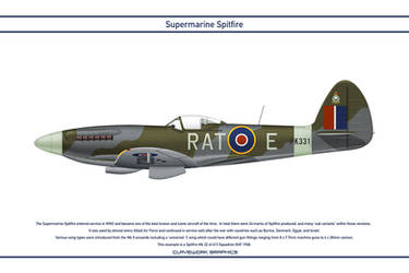 Spitfire GB 613 Squadron 2