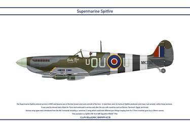 Spitfire New Zealand 3