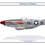 Mustang USAAF 308th FS 1