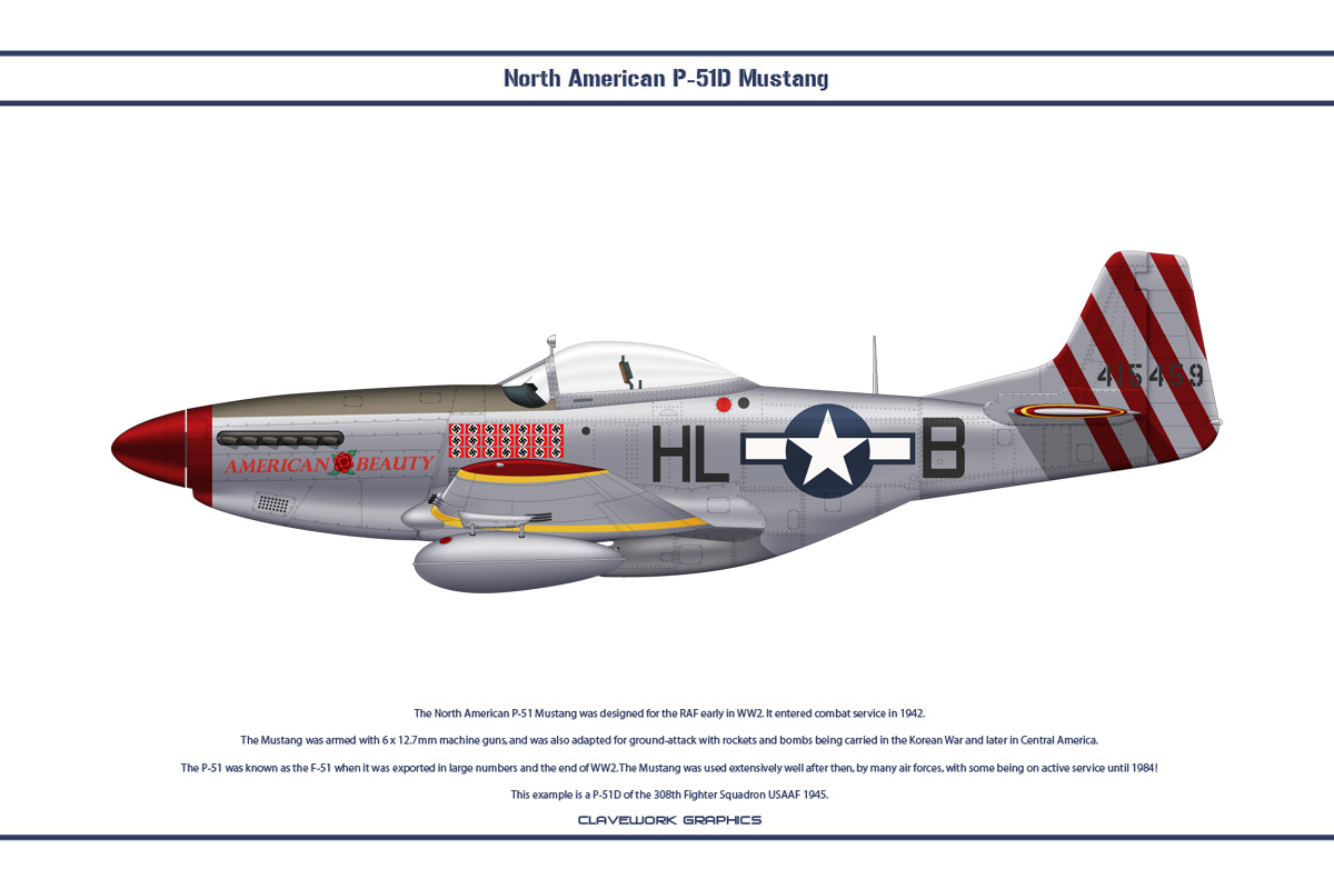 Mustang USAAF 308th FS 1