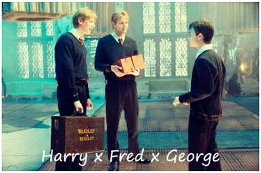 Harry x Fred x George ID