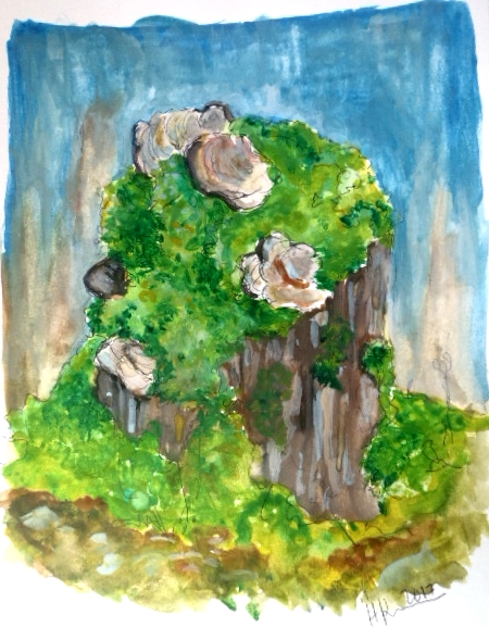 Practice: a mossy tree stump