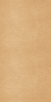Light Brown Custom Box Background