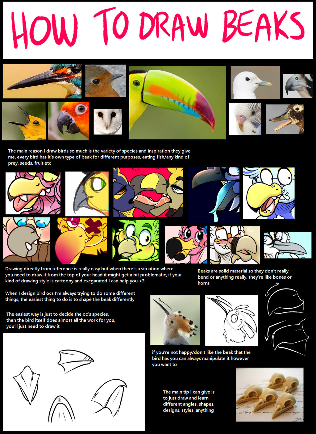 Drawable Beqars How To Draw Beaks by BeastOfEuthanasia on DeviantArt
