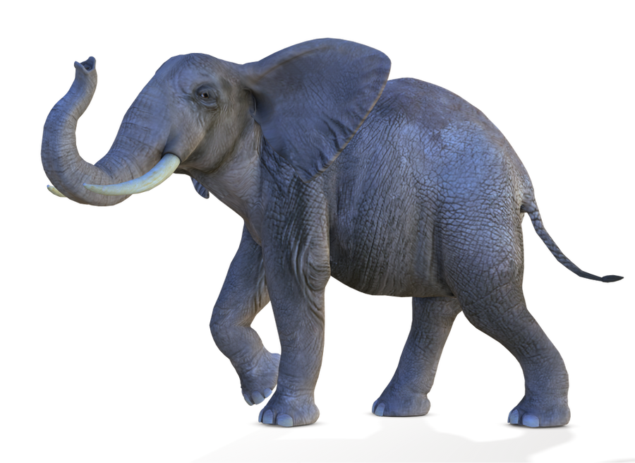 Elephant 2 PNG