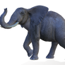 Elephant 3 PNG