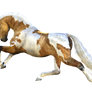 Horse 6 PNG