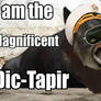 The Dic-Tapir