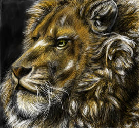 Aslan