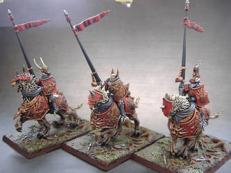 Imperial Demigryph Knights 5