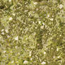Moss 1