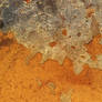 Rust 2