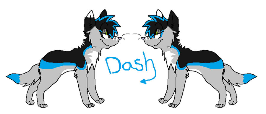 Dash The Rabbit Deviantart Dash .3. by FlaffTail on DeviantArt