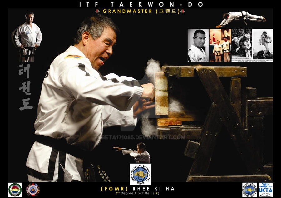 First Grandmaster Rhee Ki Ha by beta171085 on DeviantArt