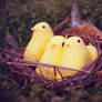 Spring Peeps