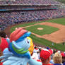 Rainbow Dash Watches a Game at Kauffman Stadium