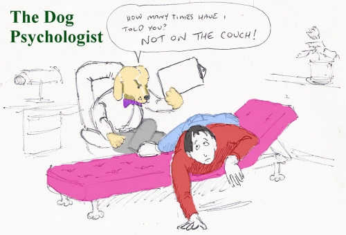 Dog Psychology