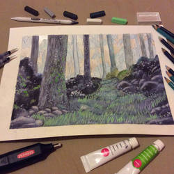 Woodland Study