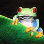 Oil Pastel Tree Frog