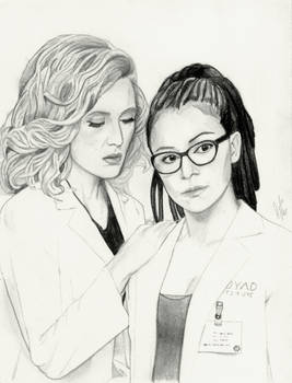 Cophine (Orphan Black Graphite Drawing)
