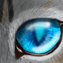 Jayfeather_Redone