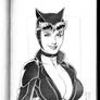 Catwoman Sketch 2