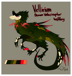 Vellirium Ref 2018/2019