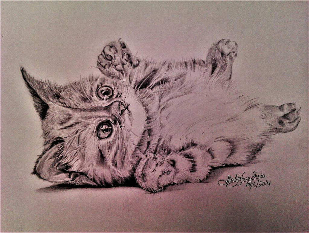 Realistic Cat Drawing by KhadijaFazalkarim on DeviantArt