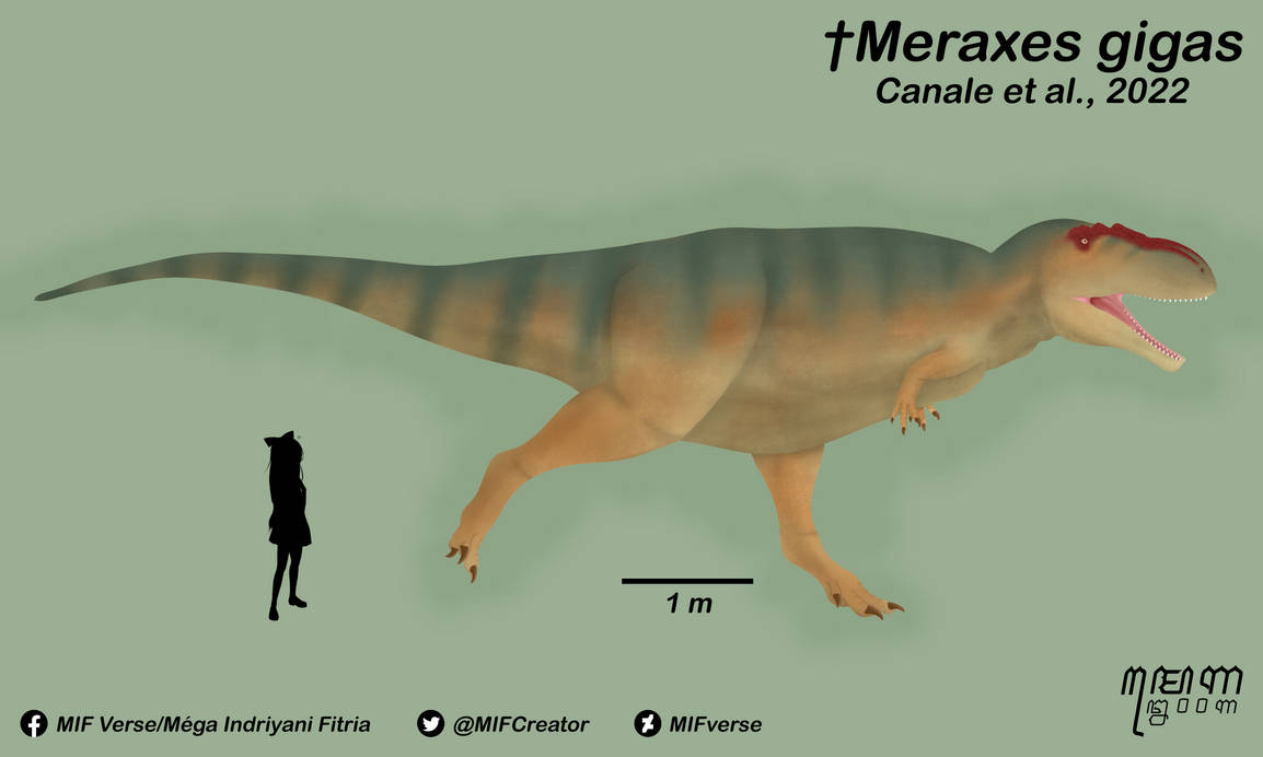 Meraxes gigas (Canale et al., 2022) by MIFverse on DeviantArt