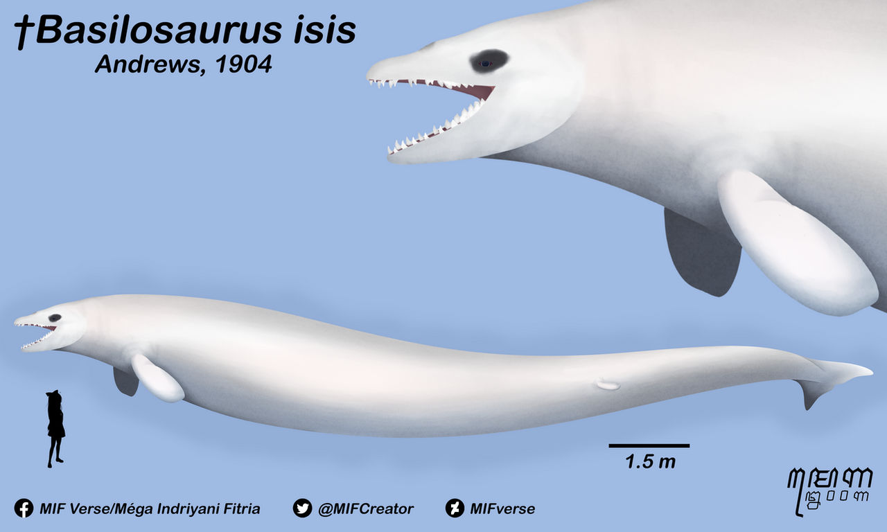 Basilasaruous Basilosaurus Fakemon at Jack Drake blog
