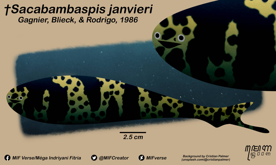 Sacabambaspis Janvieri Gagnier Et Al 1986 By MIFverse On DeviantArt sacabambaspis-janvieri-gagnier-et-al-1986-by-mifverse-on-deviantart