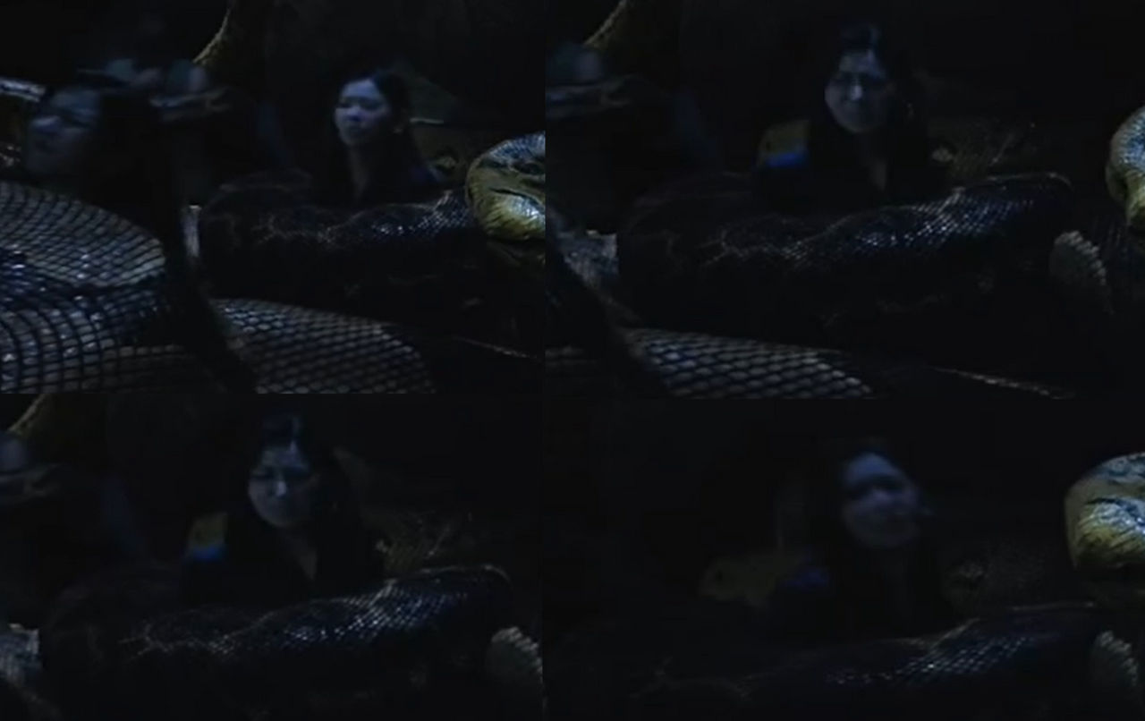 ANACONDA MOVIE 2024 ( SHORT SCENE ) by weirdsqueeze on DeviantArt