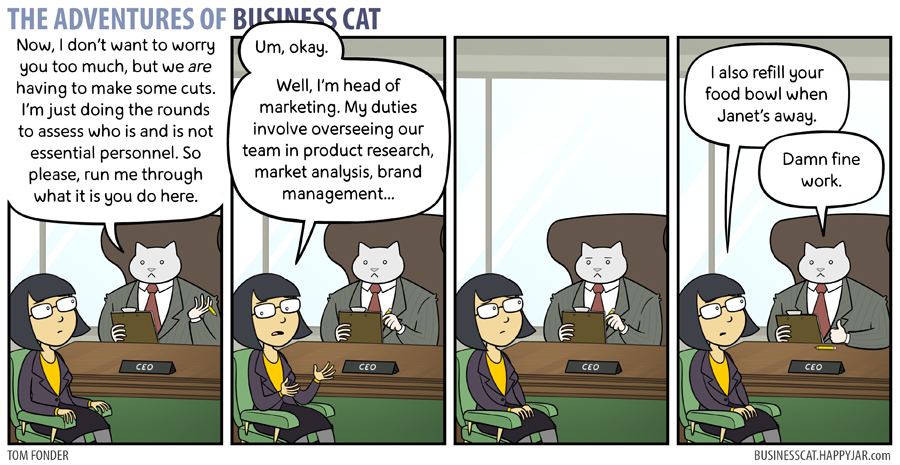 The Adventures of Business Cat - Job Description