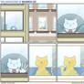 The Adventures of Business Cat - Window